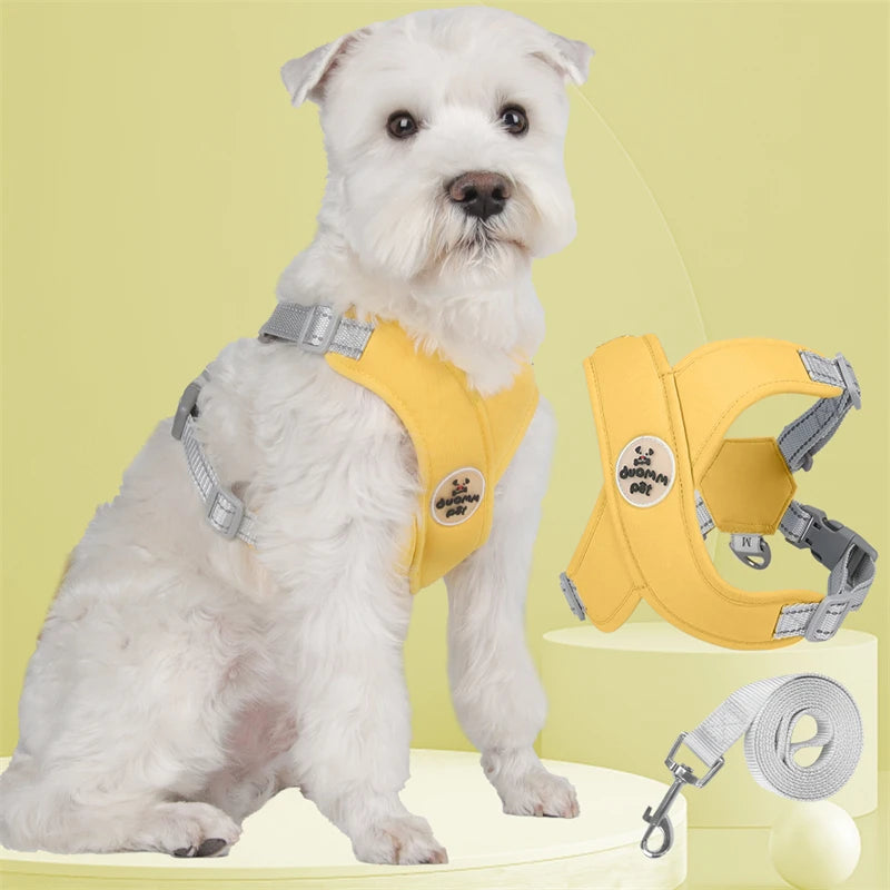 Harnais chien | Protecteur et design en X