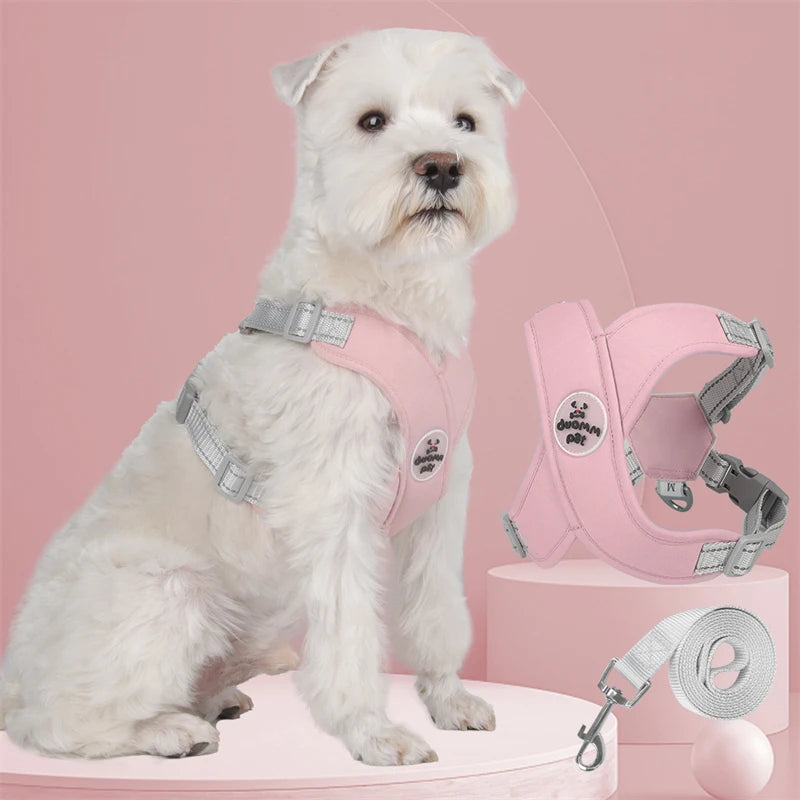 Harnais chien | Protecteur et design en X