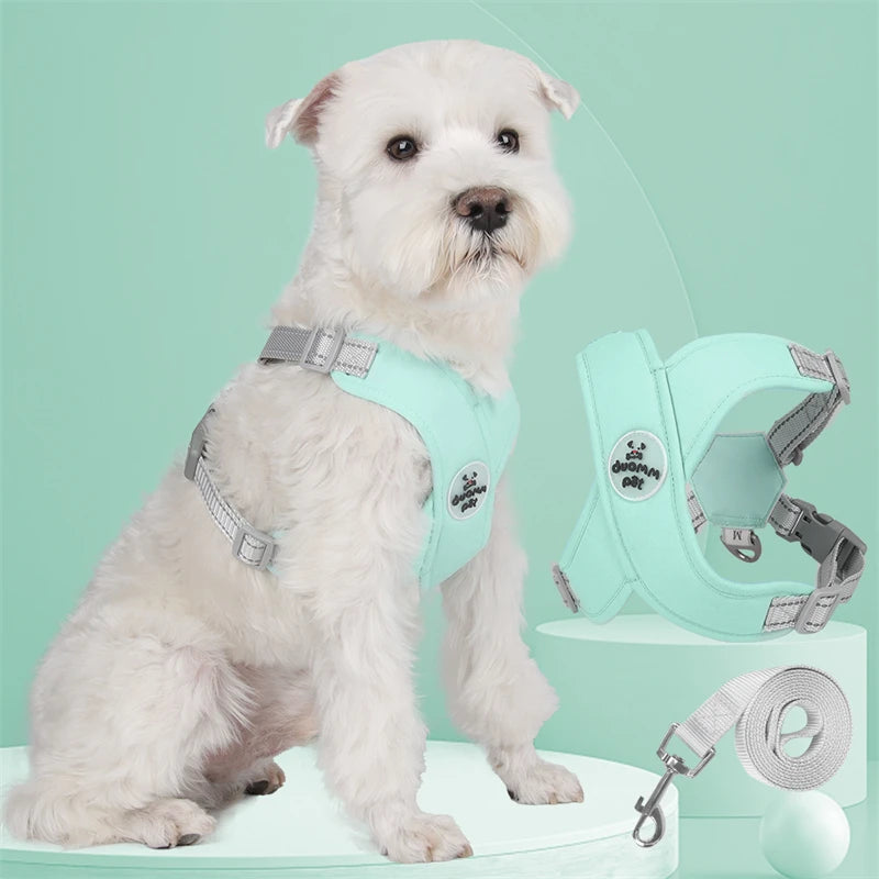 Harnais chien | Protecteur et design en X