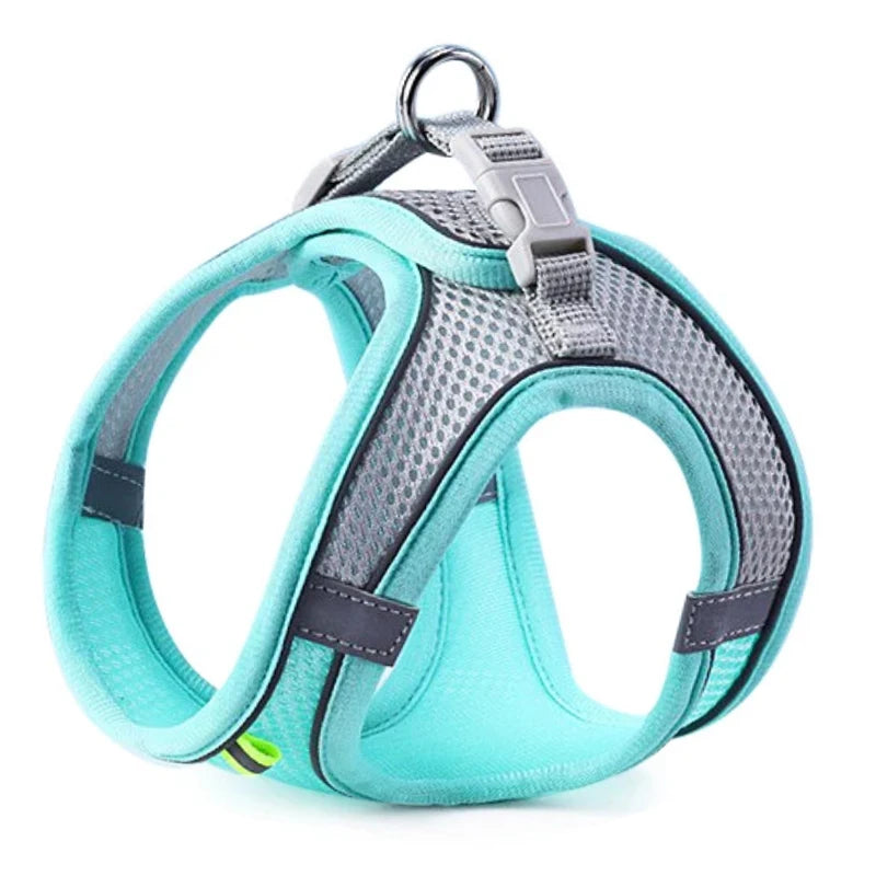 harnais chien respirant colore bleu