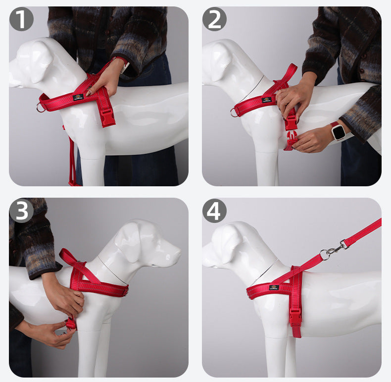 Harnais chien support 4 saisons installation