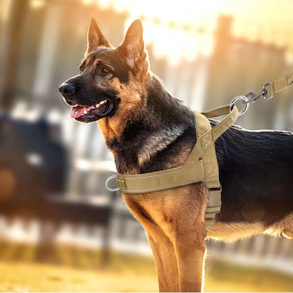 Harnais chien | Support 4 saisons - couleurs tactiques