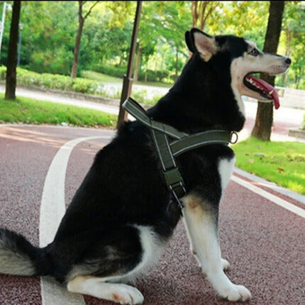 Harnais chien | Support 4 saisons - couleurs tactiques