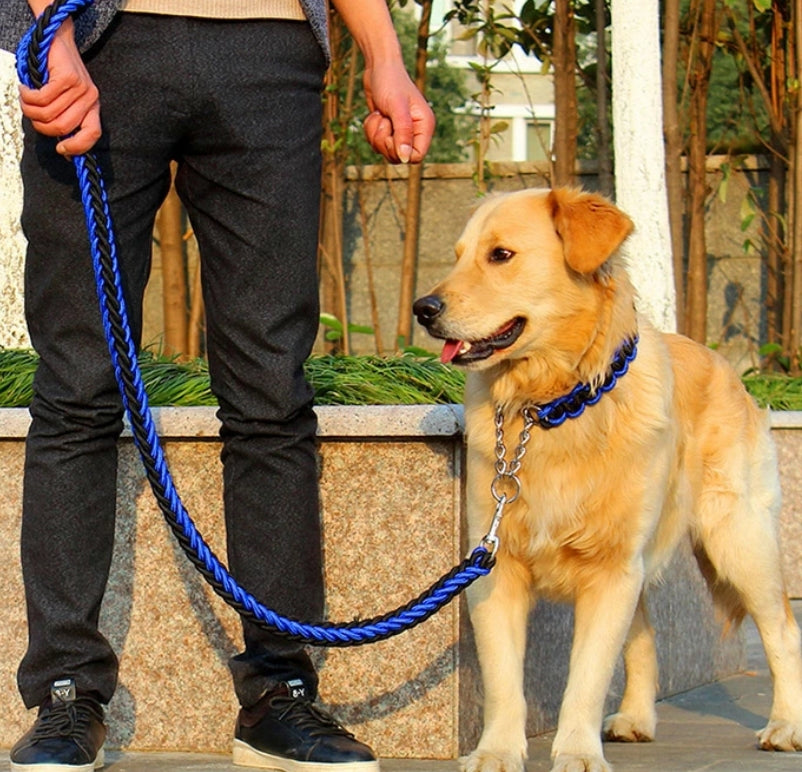 Laisse pour chien | Montagnard (noir/couleur)
