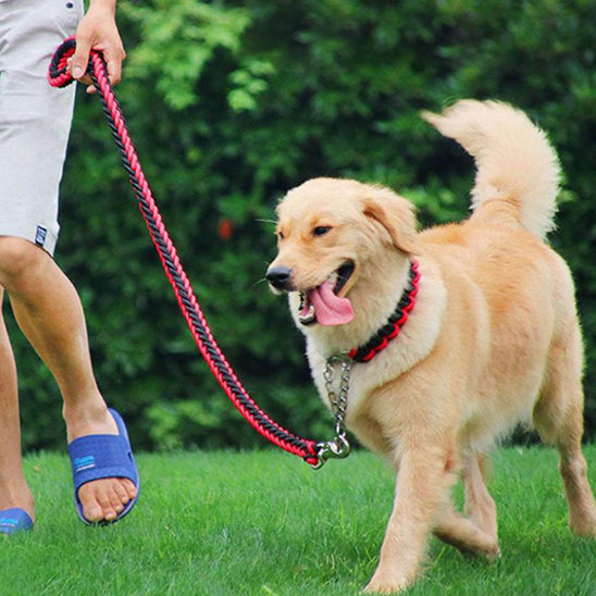 Laisse pour chien | Montagnard (noir/couleur)