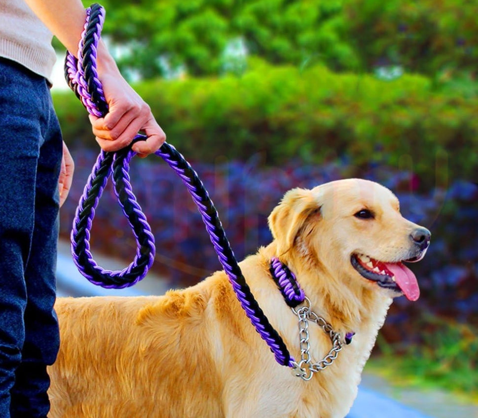 Laisse pour chien | Montagnard (noir/couleur)