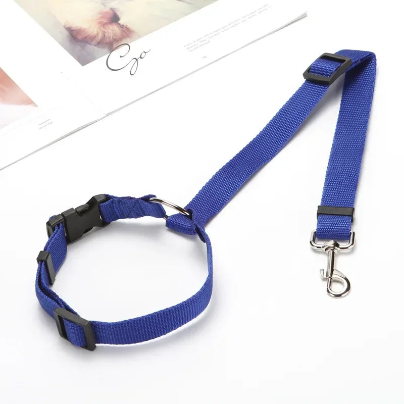 Laisse pour chien | ceinture de sécurité