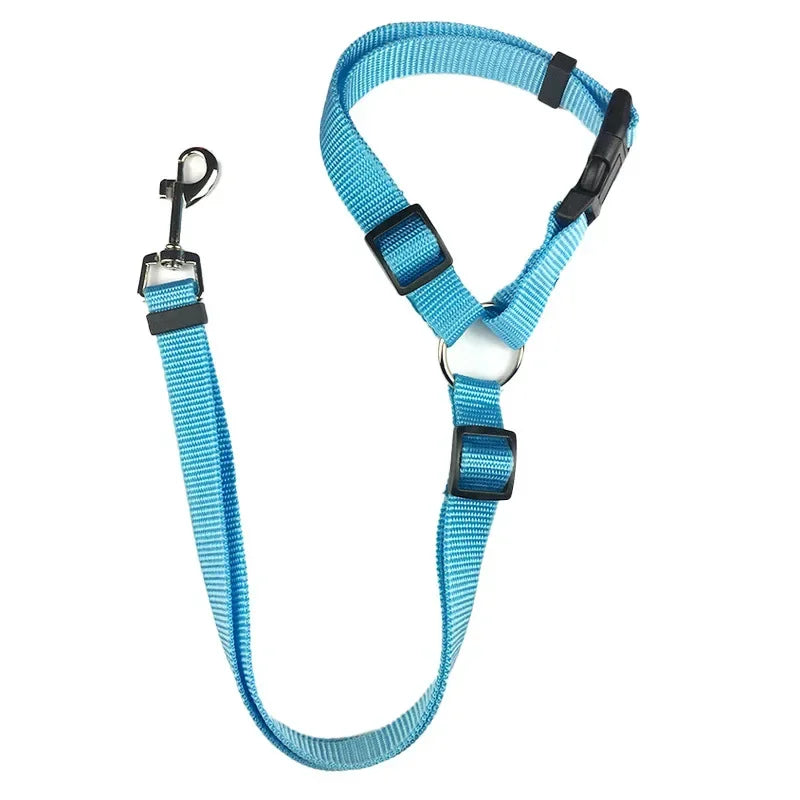 Laisse pour chien | ceinture de sécurité