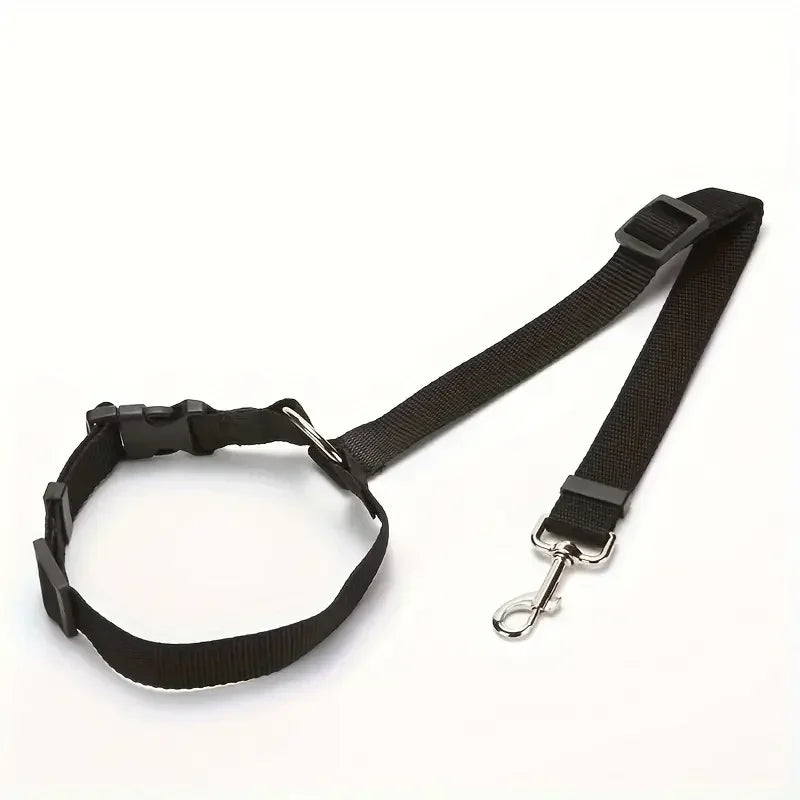 Laisse pour chien | ceinture de sécurité