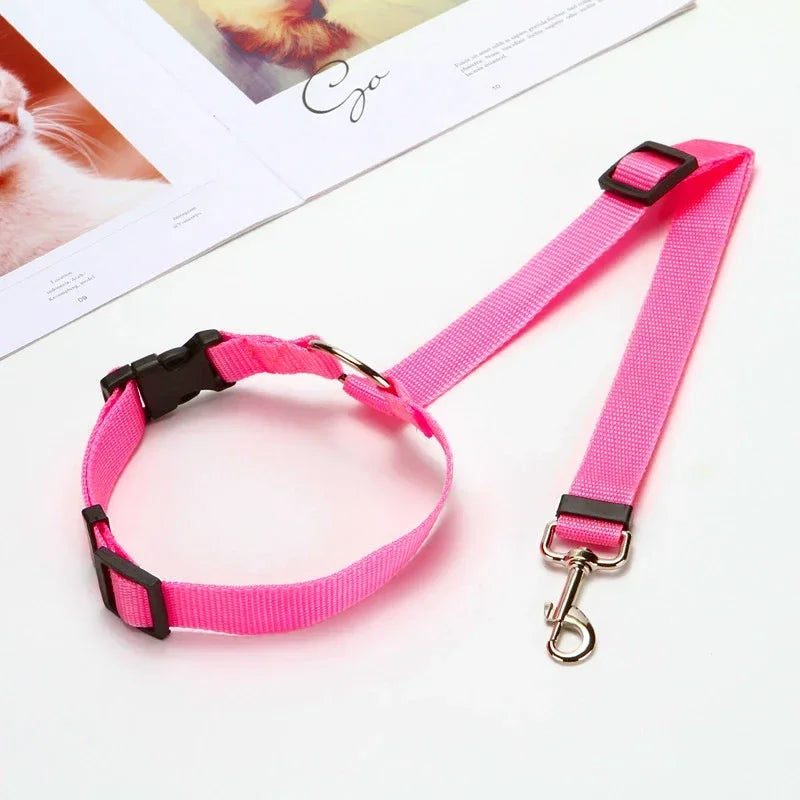 Laisse pour chien | ceinture de sécurité