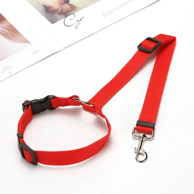 Laisse pour chien | ceinture de sécurité