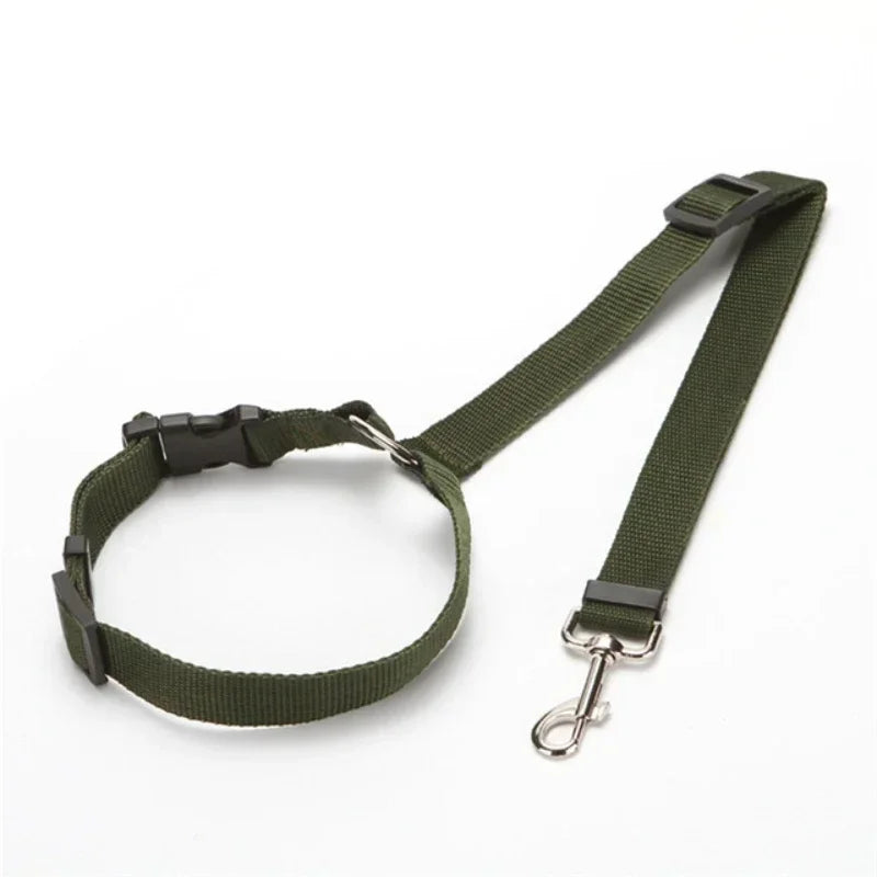 Laisse pour chien | ceinture de sécurité