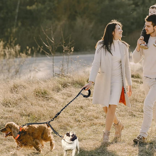 Laisse pour chien double | Bungee résistante