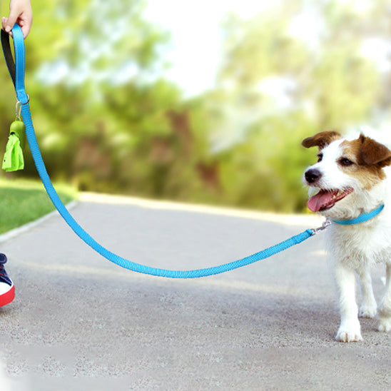 Laisse pour chien | Réfléchissante et résistante (couleurs foncées)
