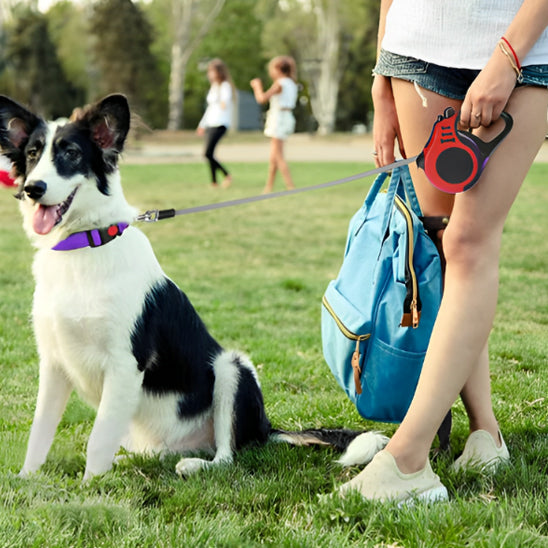 Laisse pour chien | Voyage en plein air (motif couleur et noir)