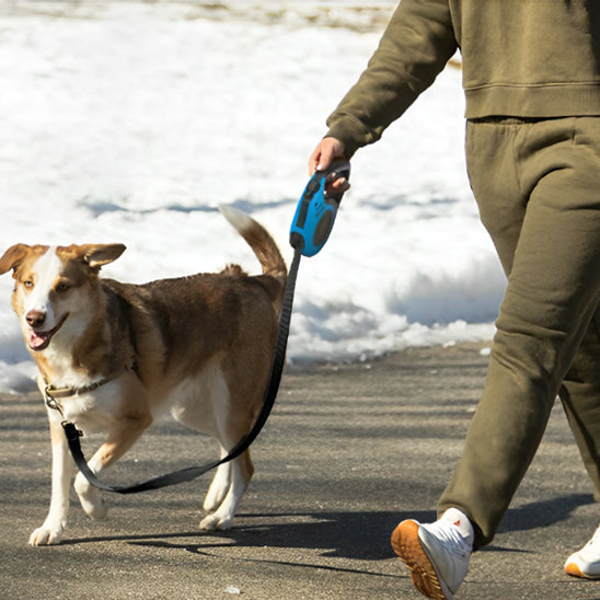 Laisse pour chien | Voyage en plein air (motif couleur et noir)