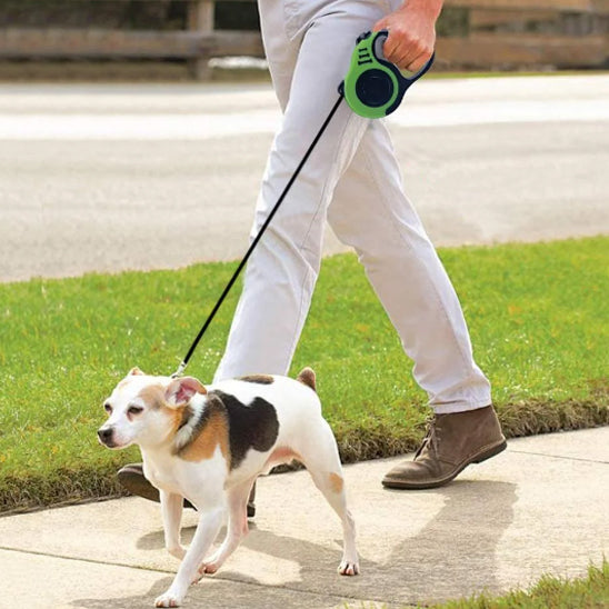 Laisse pour chien | Voyage en plein air (motif couleur et gris)