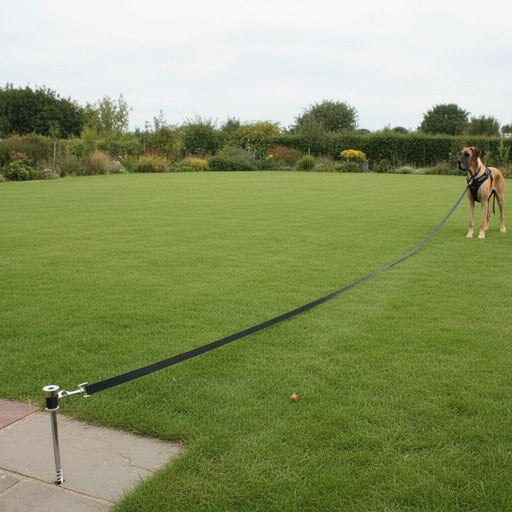 Longe chien | Longue distance