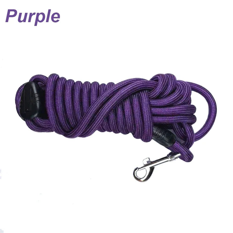Longe pour chien agilité rappel violet