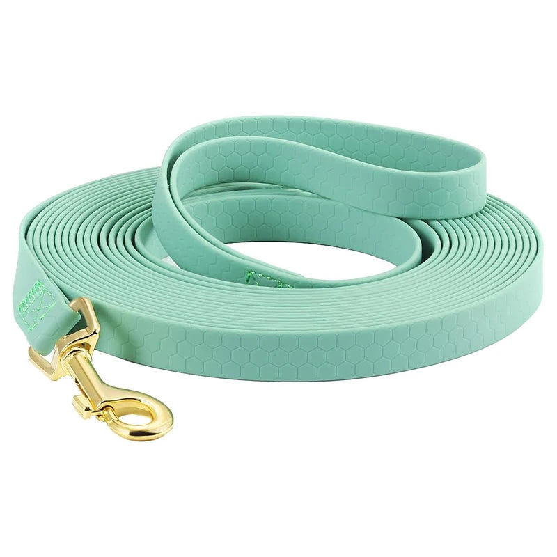 Longe pour chien facile entretien vert