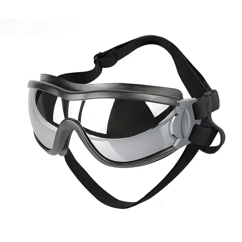 Lunettes pour chien | coupe-vent et imperméable