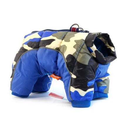 Mateau chien | Hiver Couleur camouflage