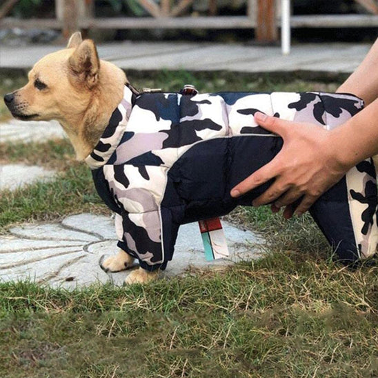 Mateau chien | Hiver Couleur camouflage