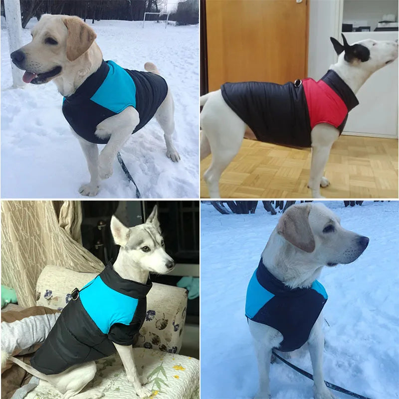 Manteau chien | Thermique et confortable