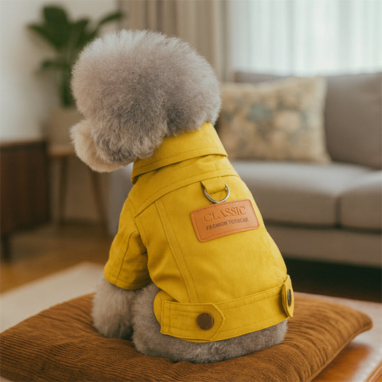 Manteau chien | Denim et style