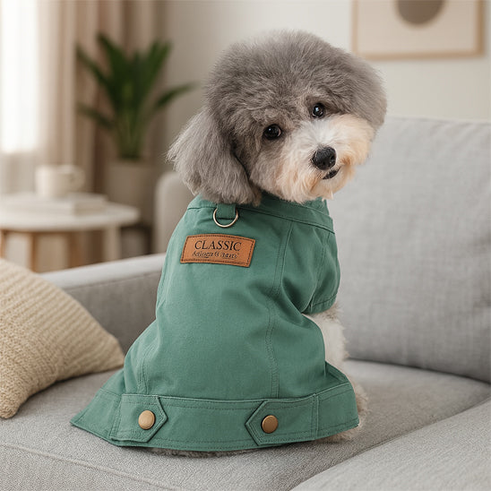 Manteau chien | Denim et style