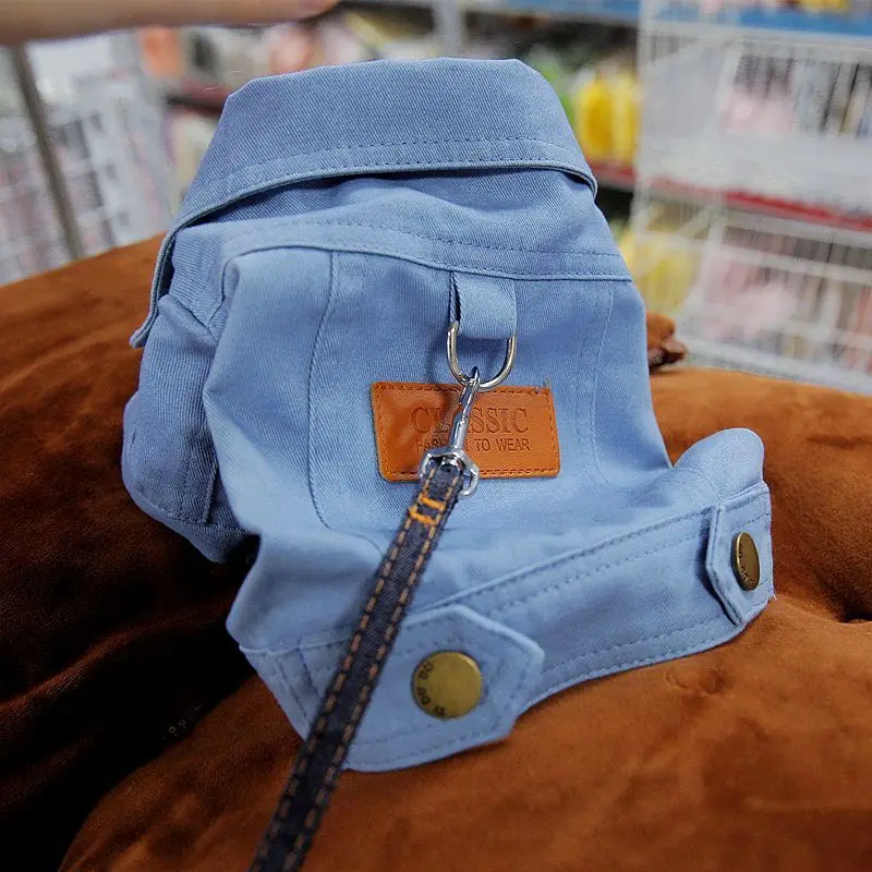 Manteau chien denim style modele bleu