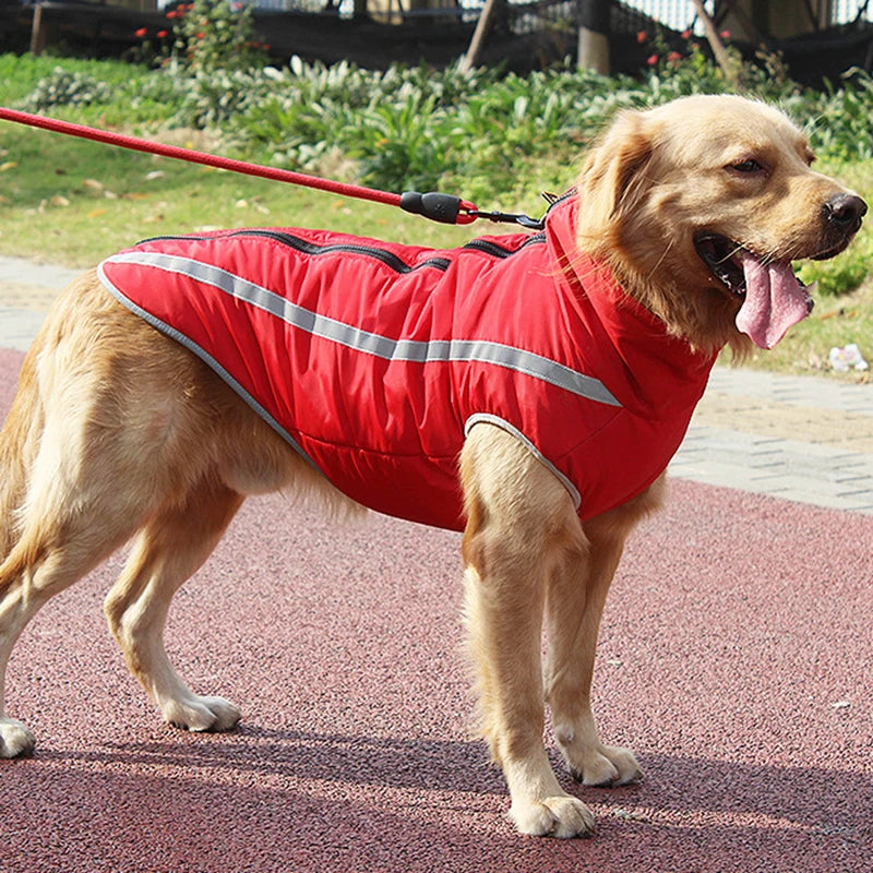 Manteau pour chien | Hiver - Chaud et réfléchissant