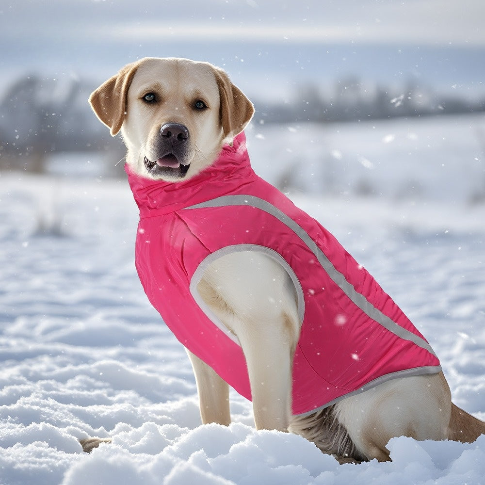 Manteau pour chien | Hiver - Chaud et réfléchissant