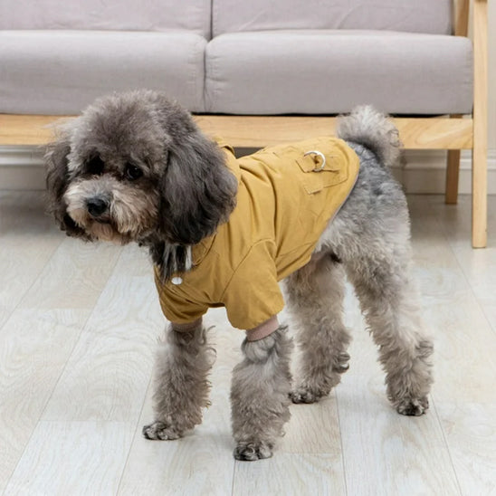 Manteau pour chien | Hiver pour chiots