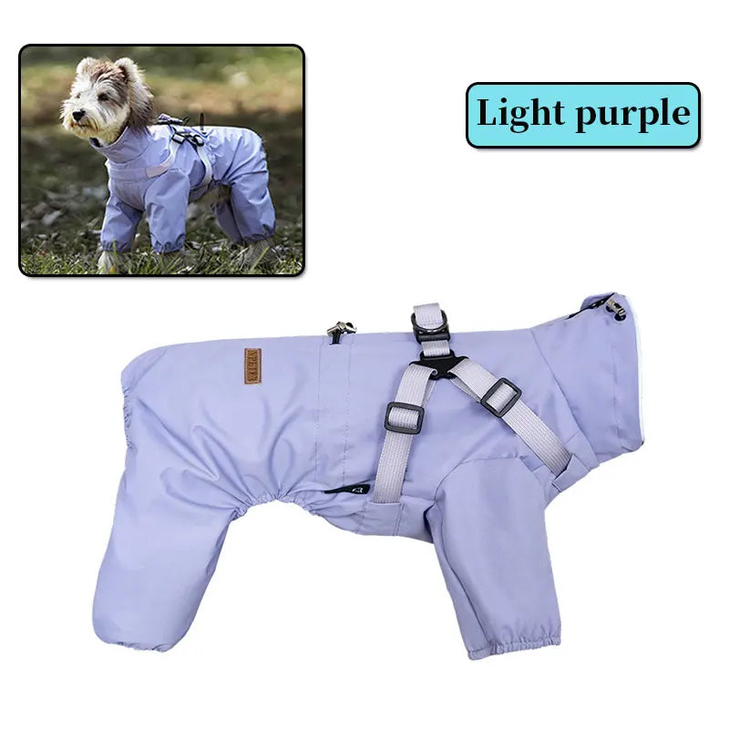 Manteau pour chien | Au chaud et au sec