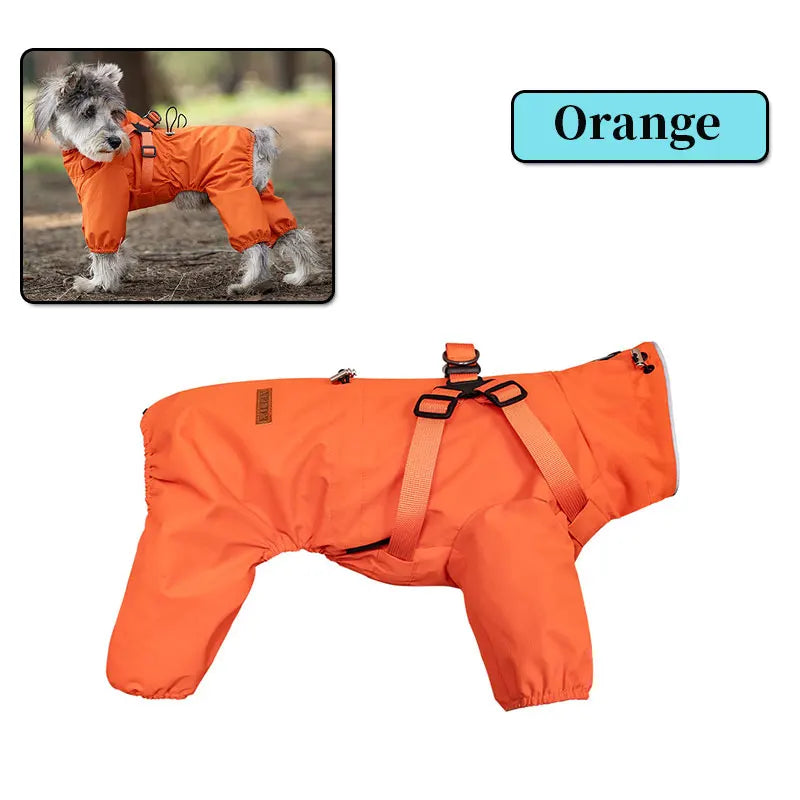 Manteau pour chien | Au chaud et au sec