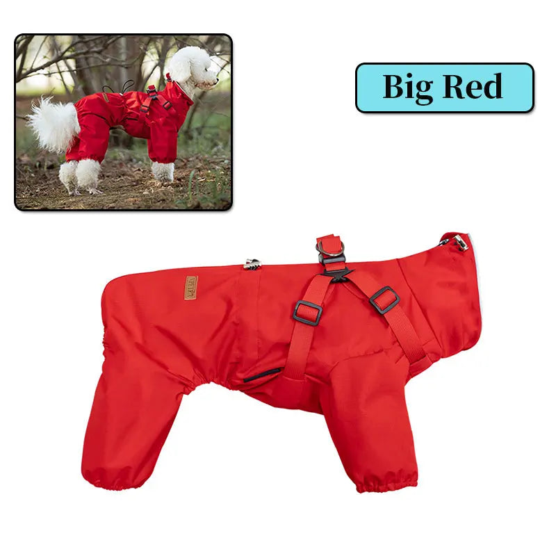 Manteau pour chien | Au chaud et au sec