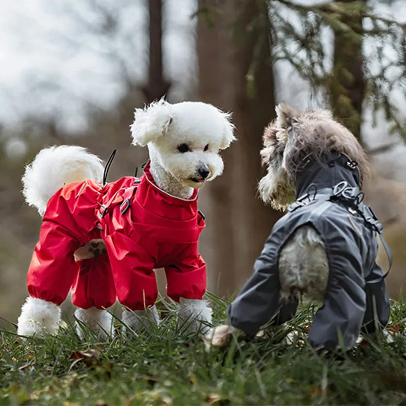 Manteau pour chien | Au chaud et au sec
