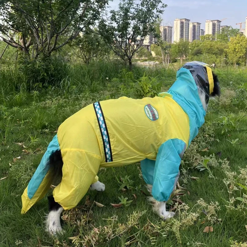 Imperméable chien | Amusante pour grande taille