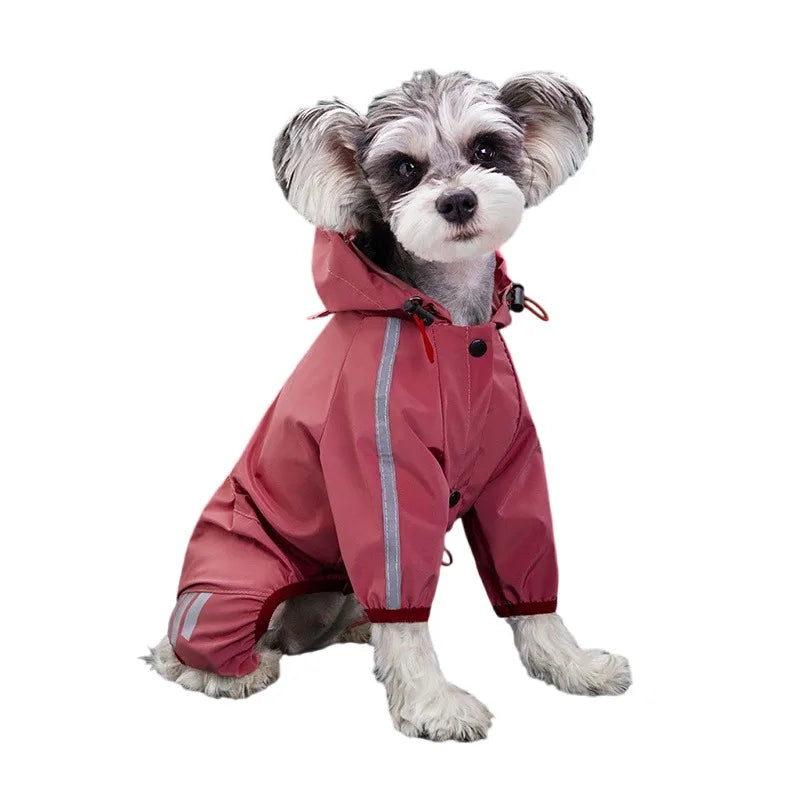 Impermeable pour chien | Protection pour petites tailles