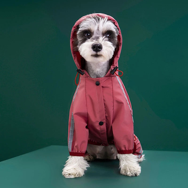 Impermeable pour chien | Protection pour petites tailles