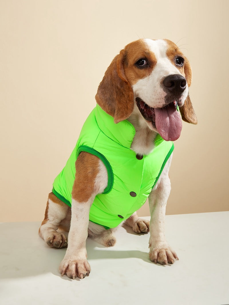 Manteau pour chien | rembourré en peluche