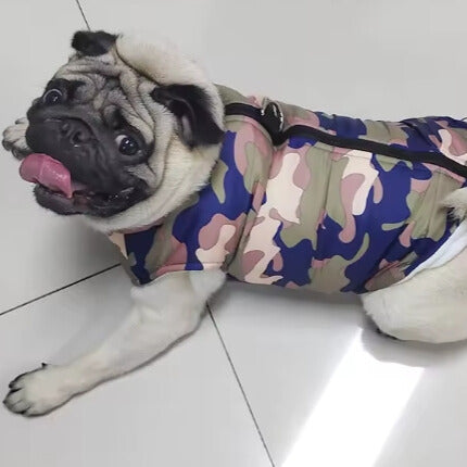 Manteau chien | Thermique et amusant