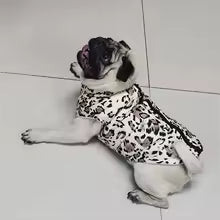 Manteau chien | Thermique et amusant