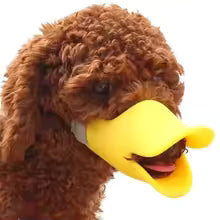 Muselière pour chien | modèle bec de canard