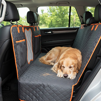 Protection chien voiture anti-salissure golden coucher