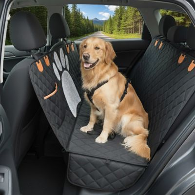 Protection chien voiture fenêtre maille golden avec ceinture