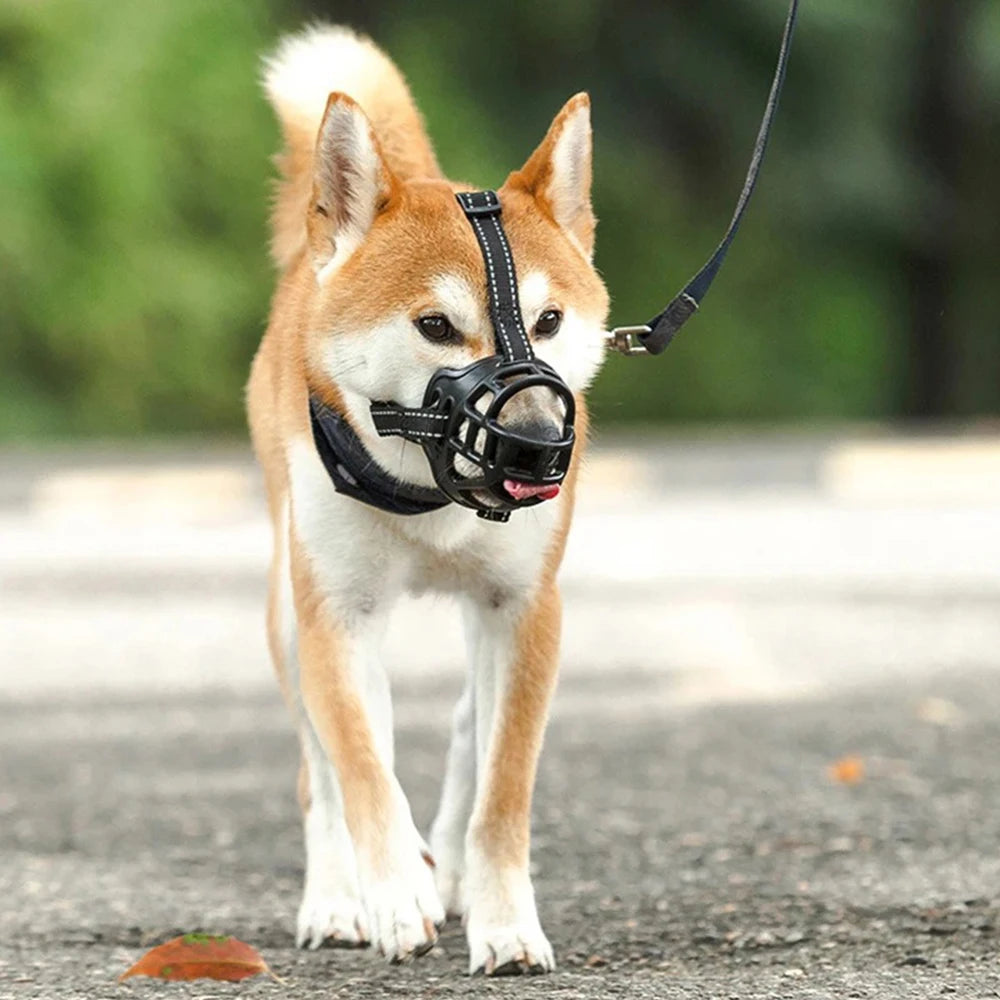 Museliere pour chien | Anti-aboiement