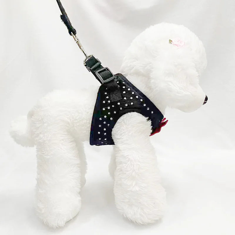 Harnais chien | petit et chic