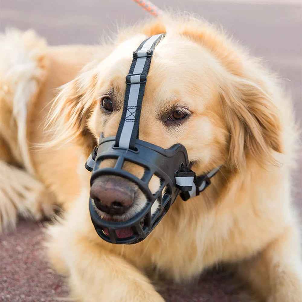 Museliere pour chien | Anti-aboiement